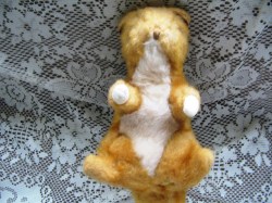 SQUIRREL VIEW A_03